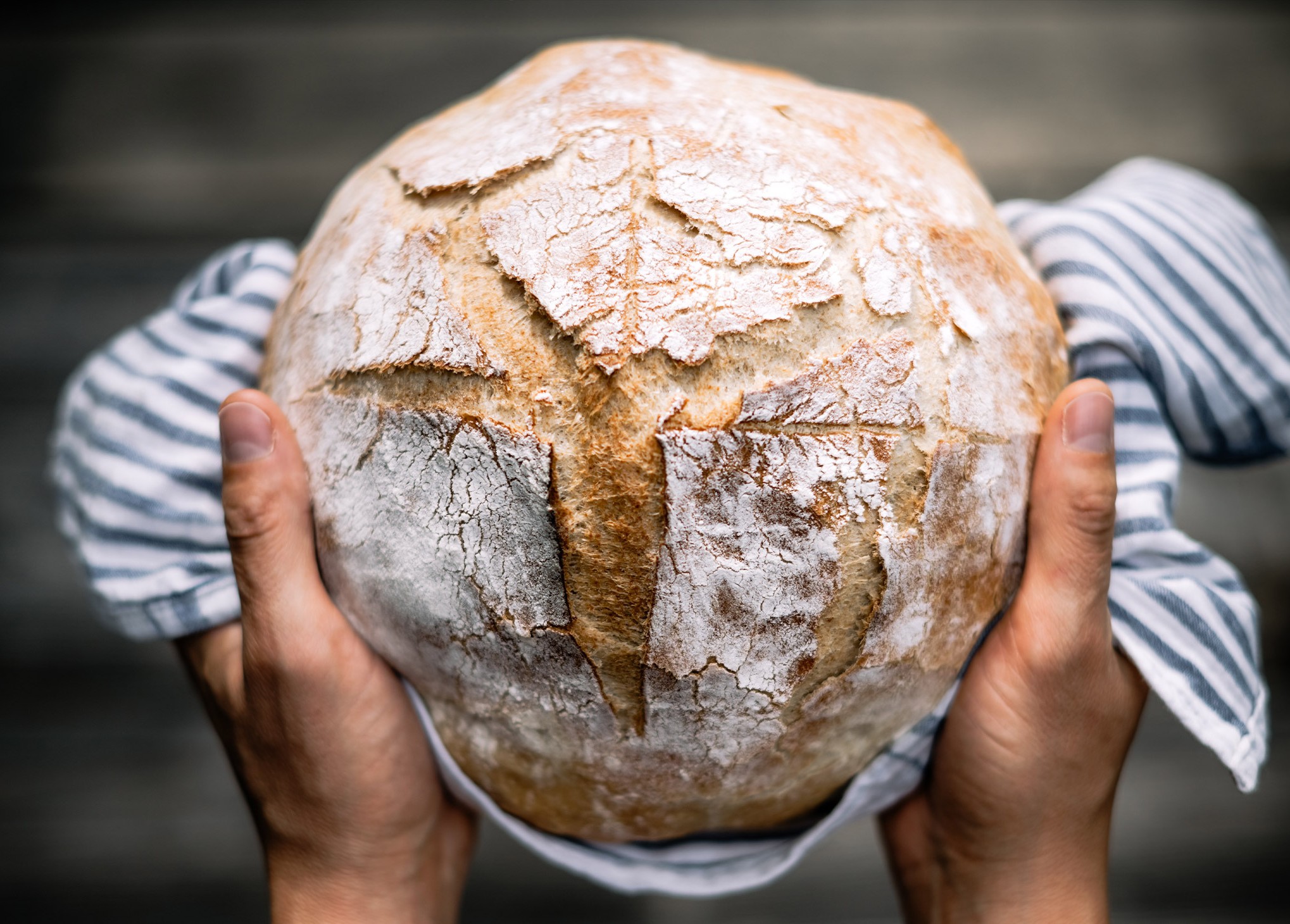 Introduction to Sourdough